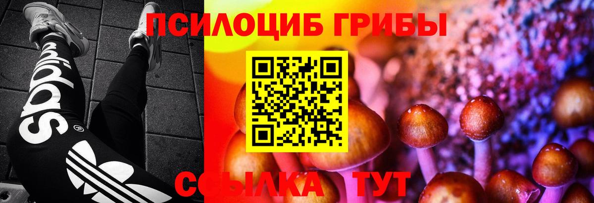 Галлюциногенные грибы GOLDEN TEACHER  Вход с VPN  Псилоцибиновые грибы мухоморы  Воскресенск 